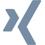 Xing SVG Icon